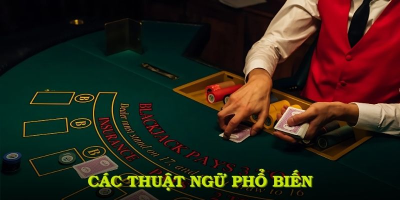 Các thuật ngữ phổ biến