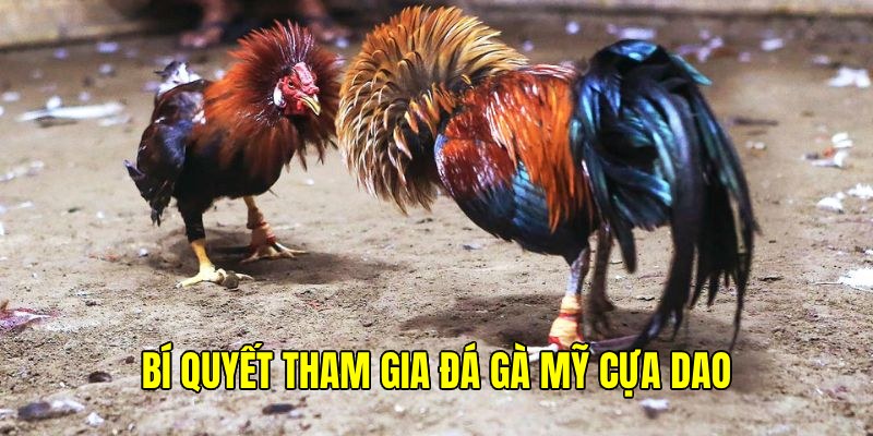 Hiểu về các giống gà để mạnh tay xuống tiền