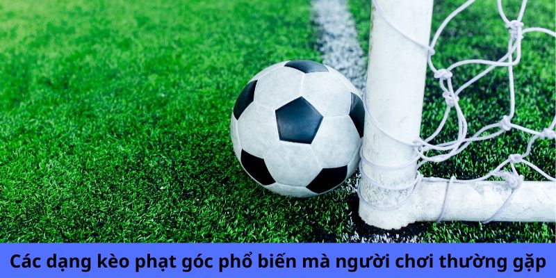 Các dạng kèo phạt góc phổ biến mà người chơi thường gặp